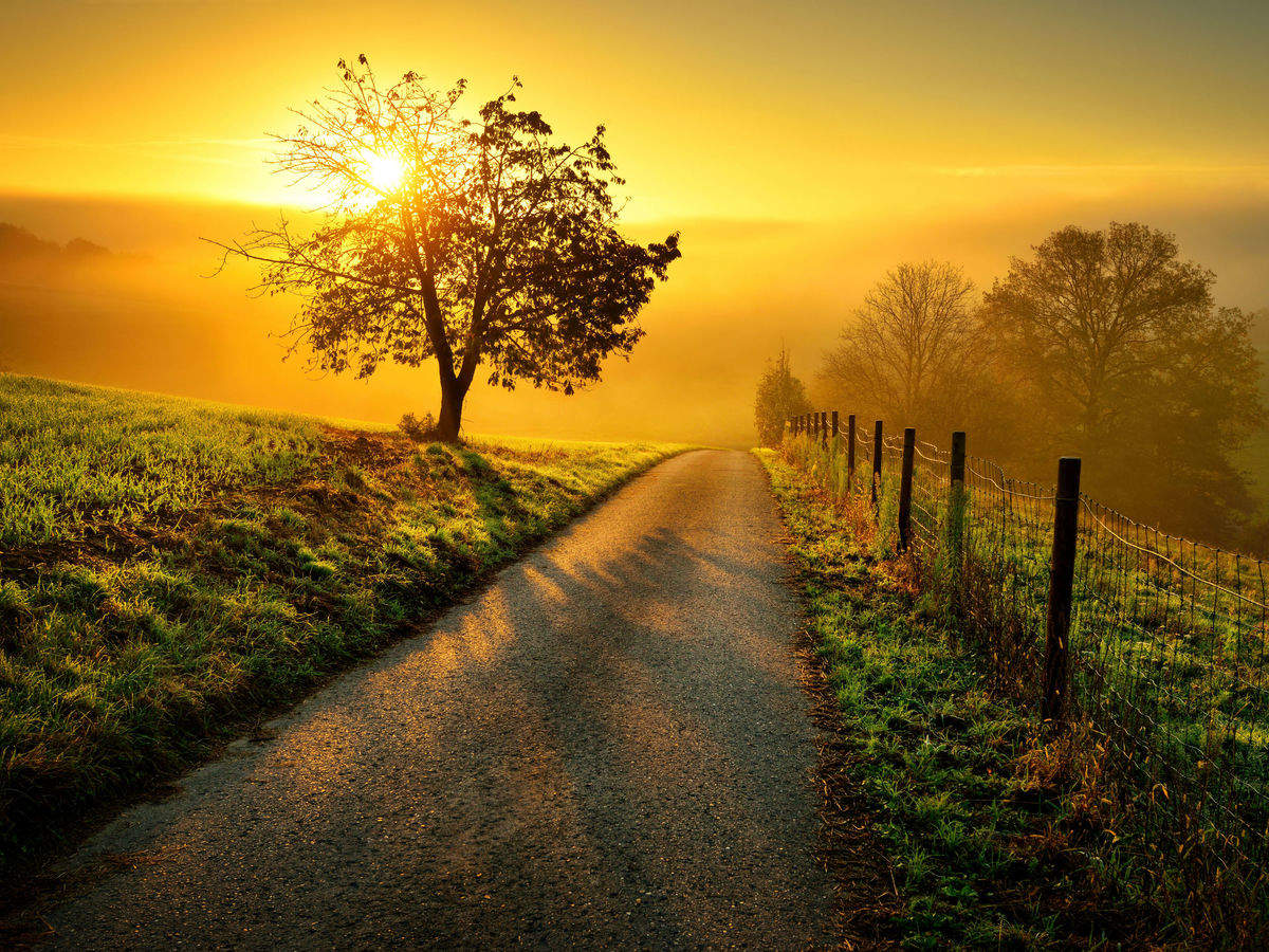 physical scenery nature sunrise