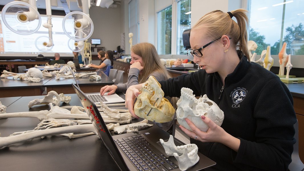 Student in a research lab setting