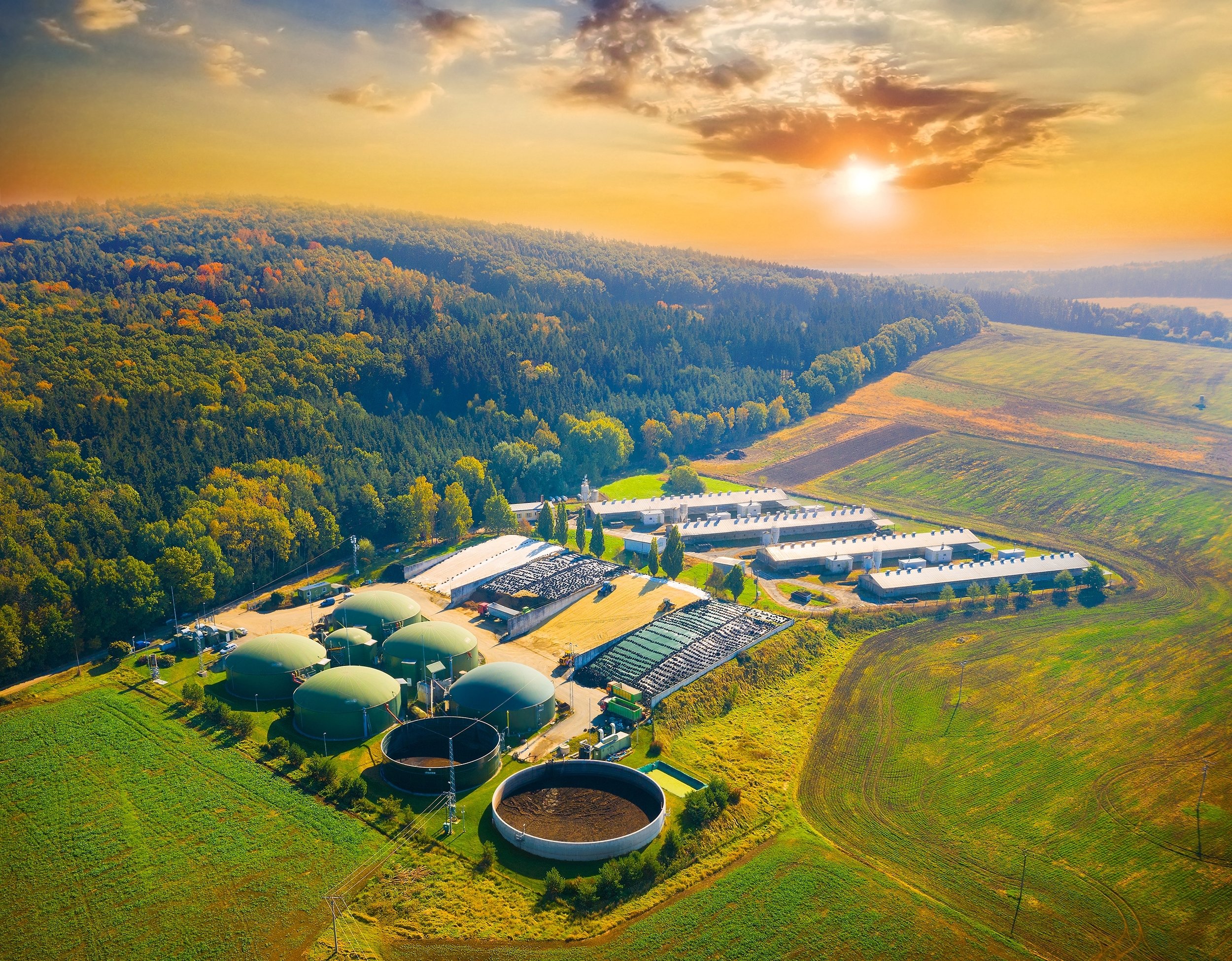 UK biogas plant renewable energy landscape