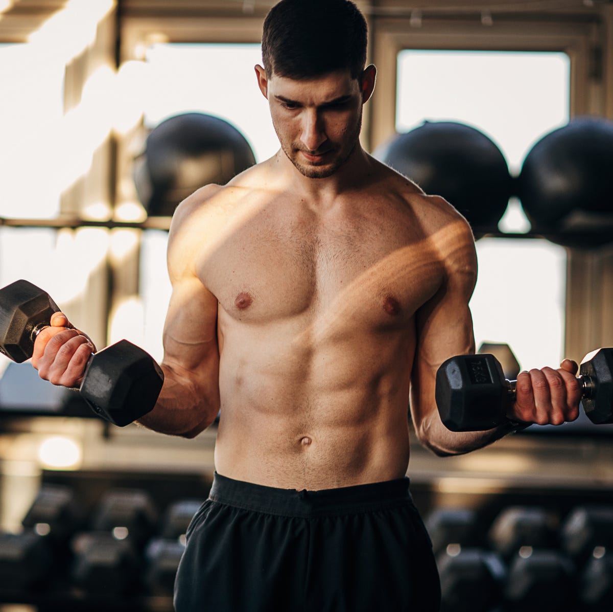 upper body exercises gym