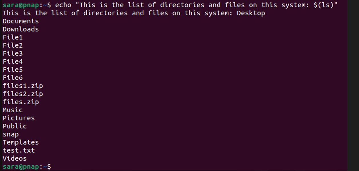 Linux terminal showing echo and ls commands