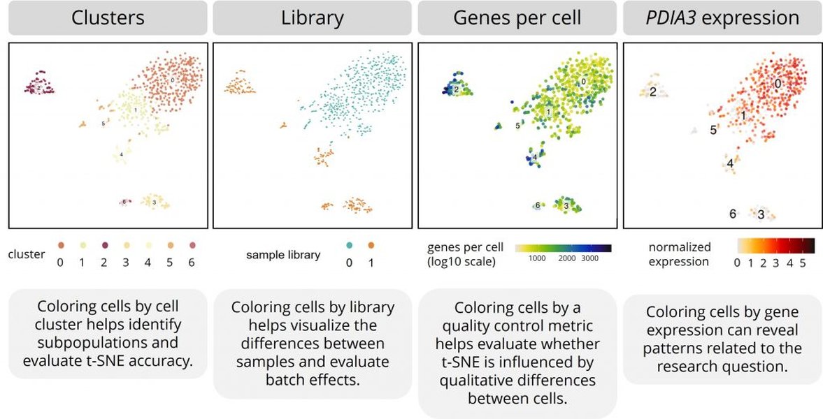 understanding-high-dimensional-data-and-visualization-vgk14j1b
