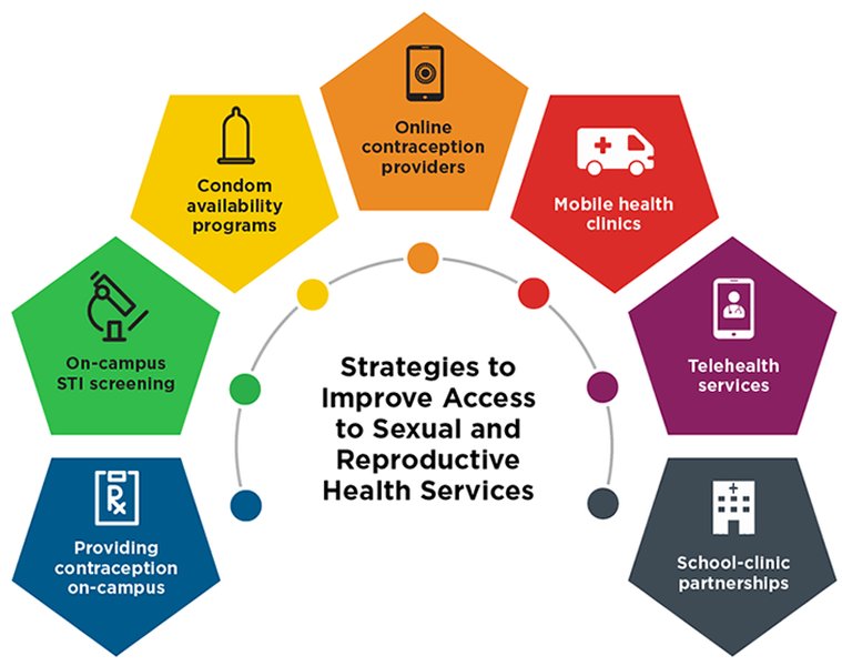 Graphic illustrating components of school-based sexual health support