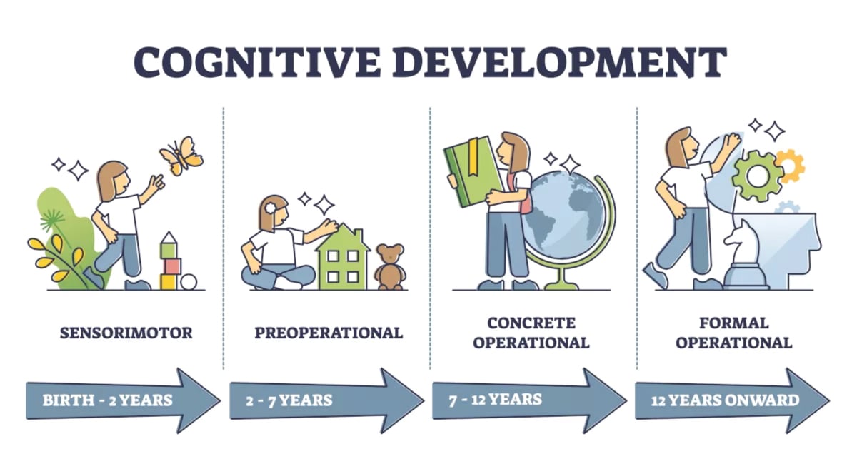 cognitive skills conceptual objects
