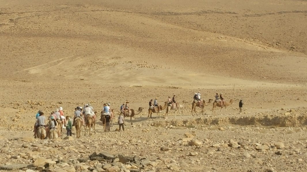 understanding-migration-definition-types-causes-bi6vz5cr