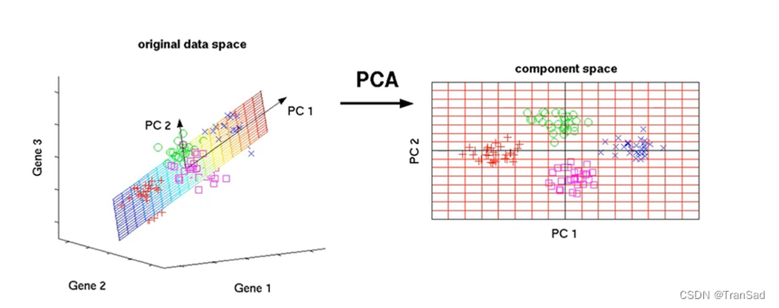 understanding-pca-dimensionality-reduction-9f3oyb6e