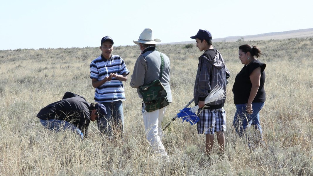 understanding-relational-indigenous-intelligence-4xy9b8vd