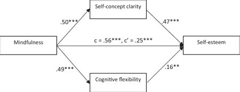 The path from mindfulness to self-esteem: self-concept-clarity and ...