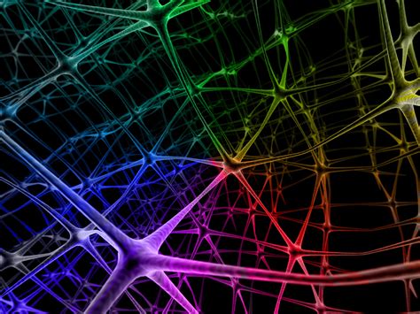 The Neural Network2 by rajasegar on DeviantArt