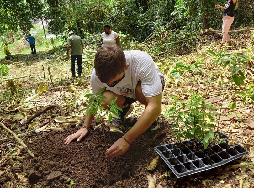 Volunteers working in sustainable agriculture