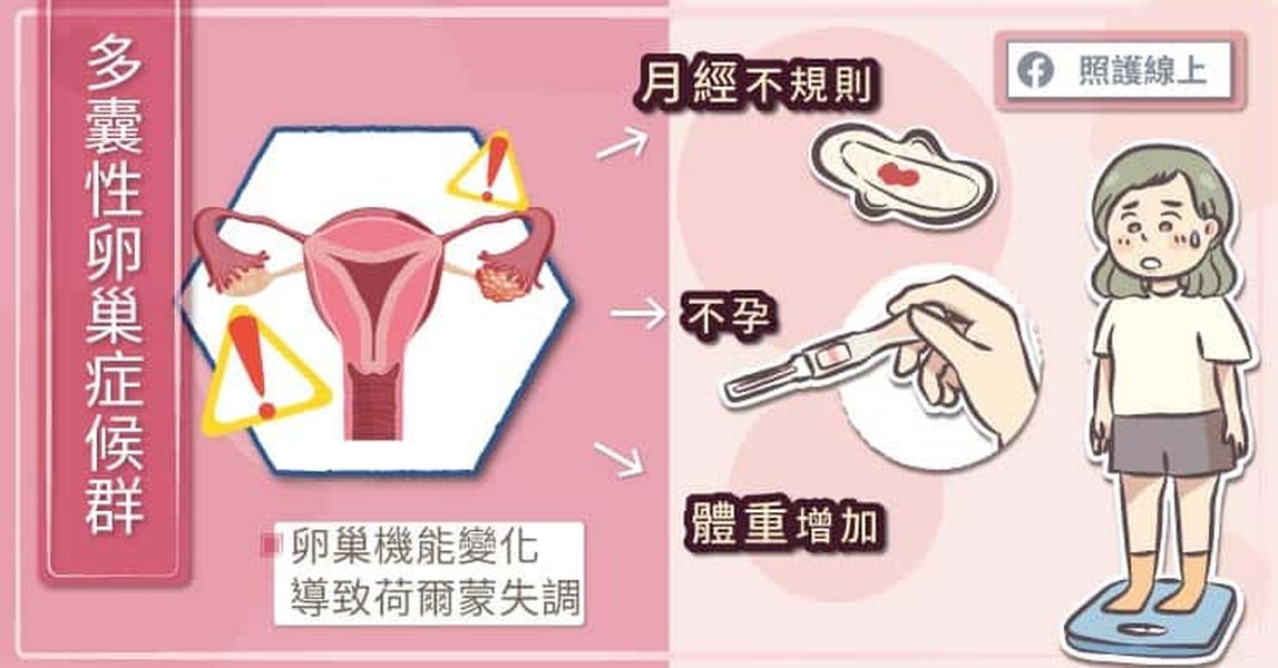 體重增加與健康關係圖