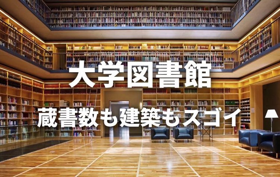 university-learning-strategies-shcxdbix