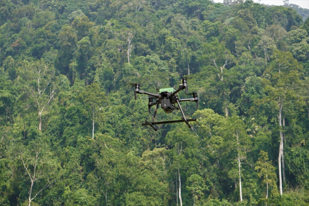 drone flight over nature