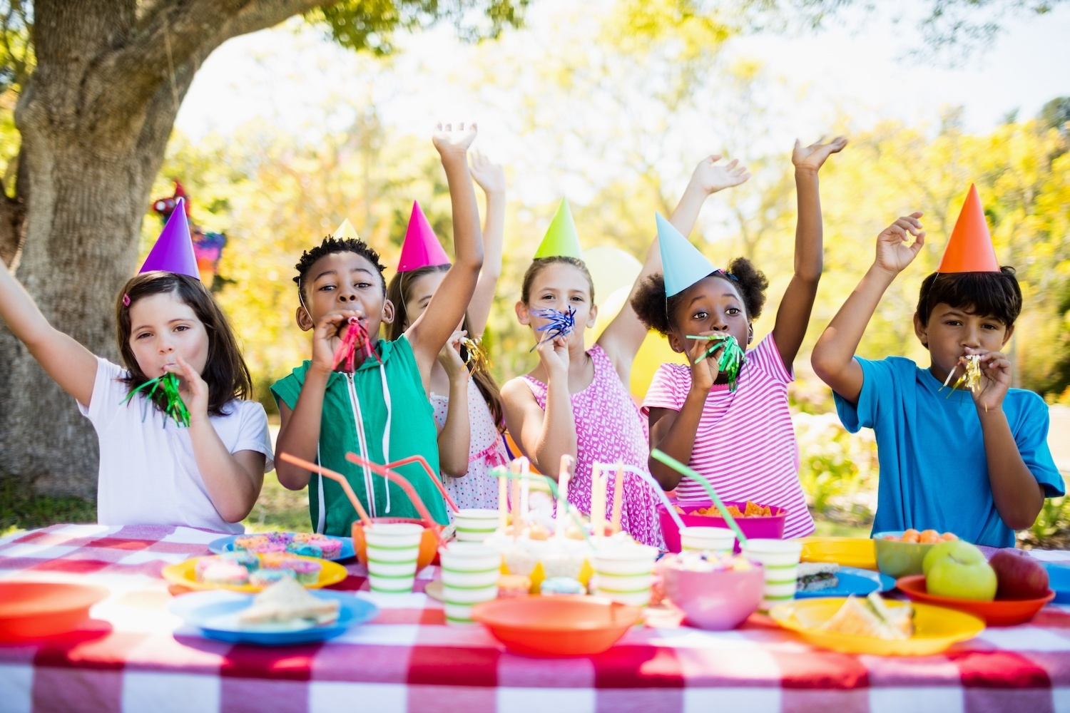 birthday celebration