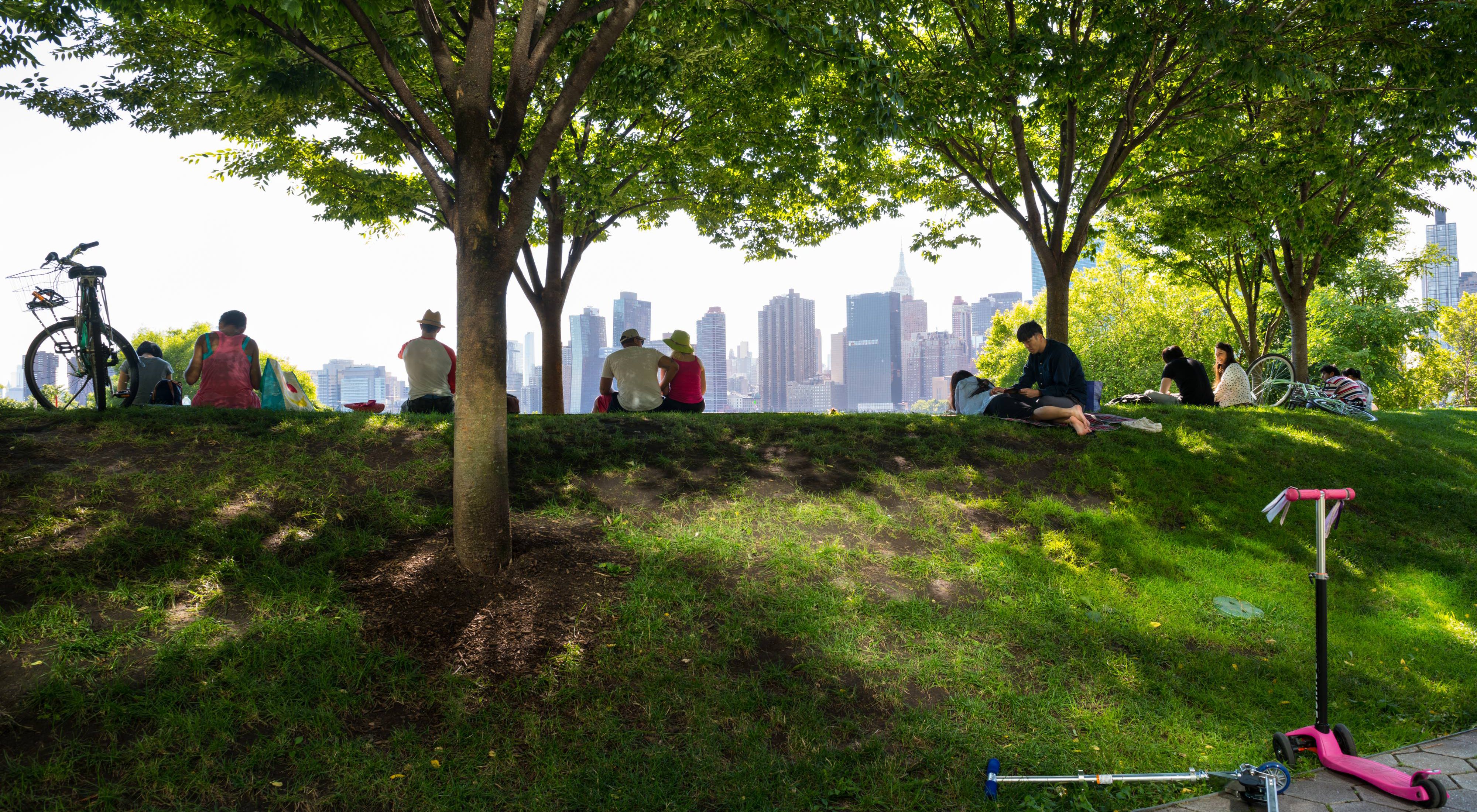 urban trees landscape city park