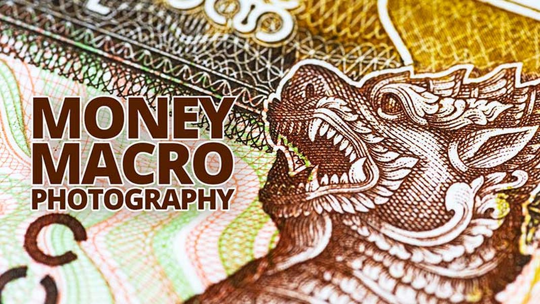 Detailed close-up of US currency