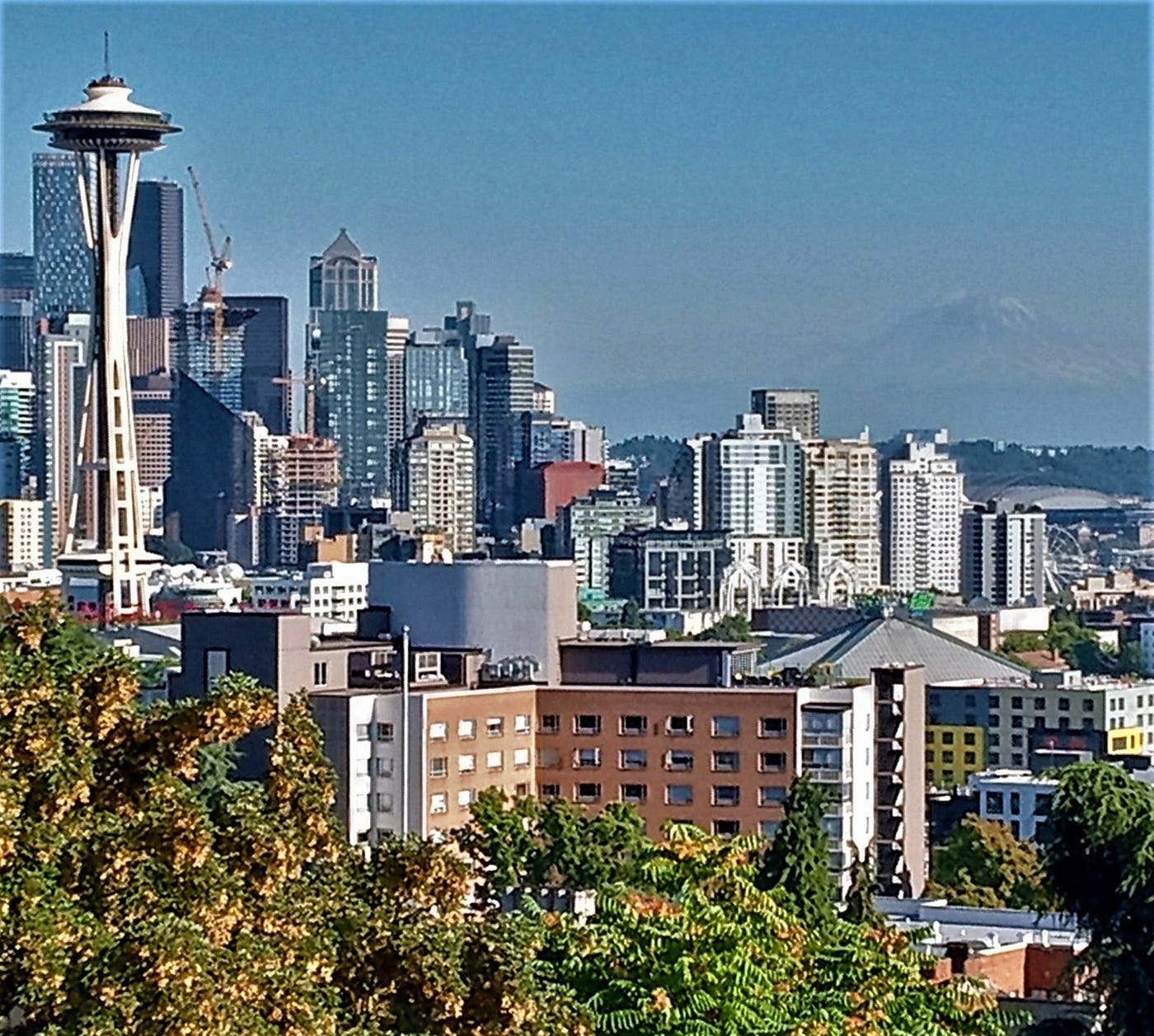 scenic view of american cityscape