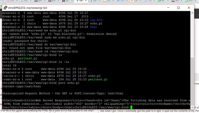Perl programming on Linux server