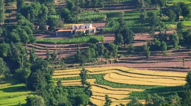 Himalayan terraced fields traditional farming