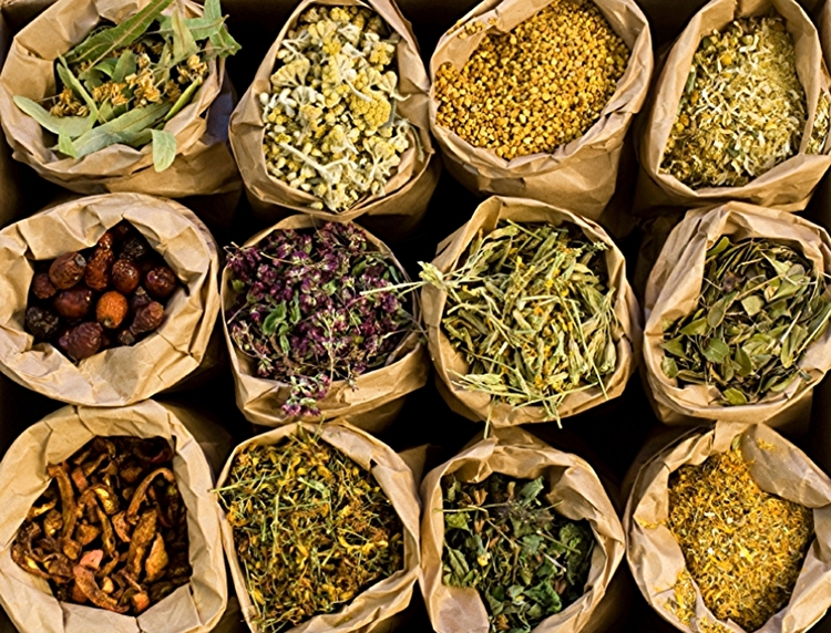 vermouth botanical ingredients