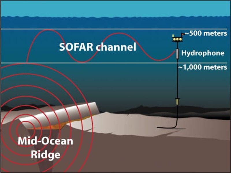 underwater hydrophone array