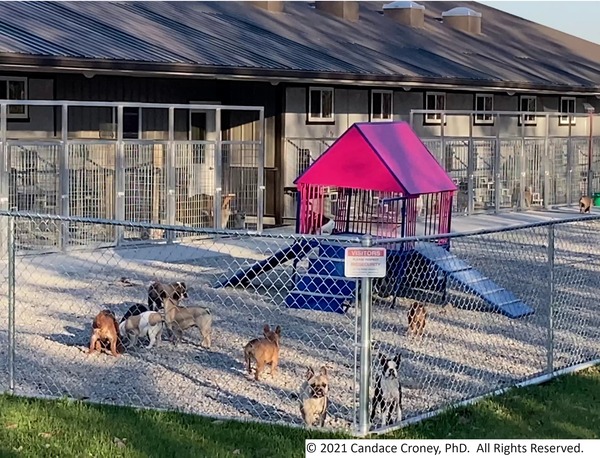 veterinary animal breeding facility
