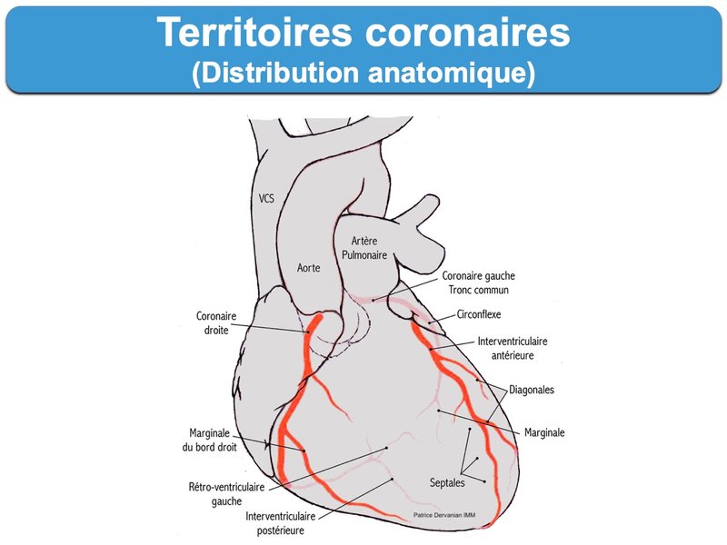 viagra-stenose-cardiaque-securite-tjr52ds0
