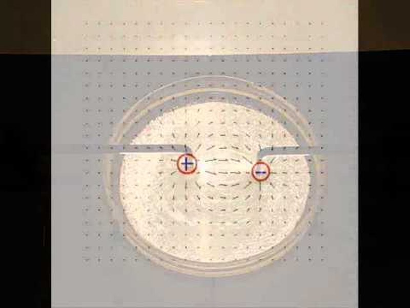 Visualisation des lignes de champ électrostatique