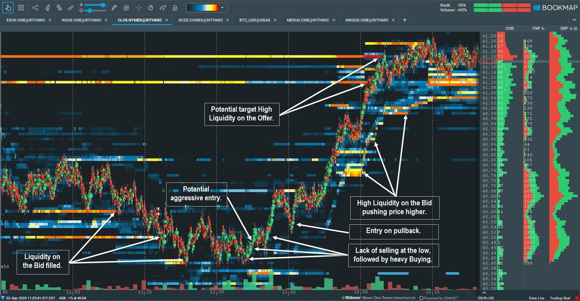 visualize-order-flow-bookmap-pivots-poc-3af2s73j