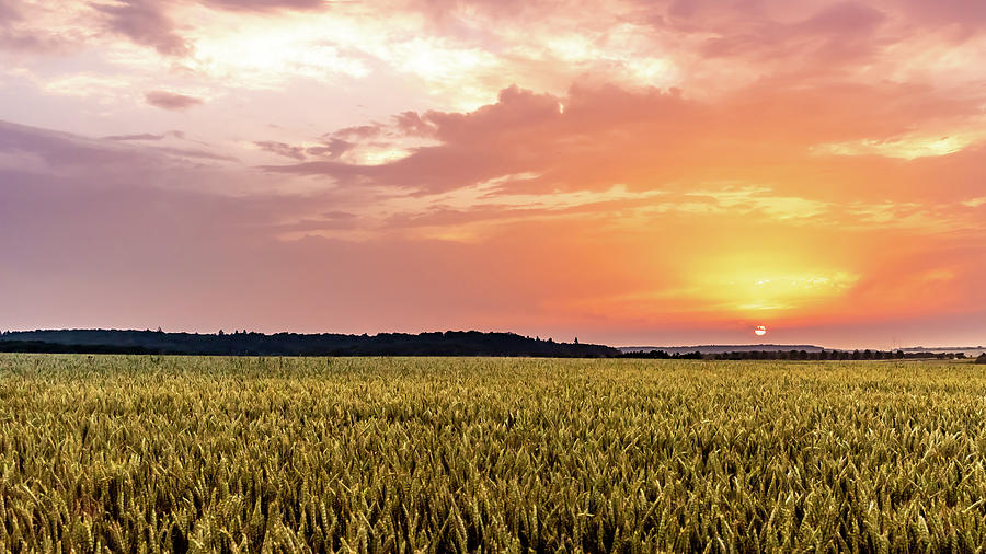 agricultural fields sunrise