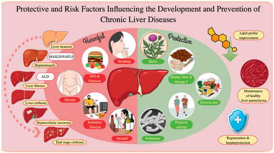 liver, vitamins, nutrition, research, study