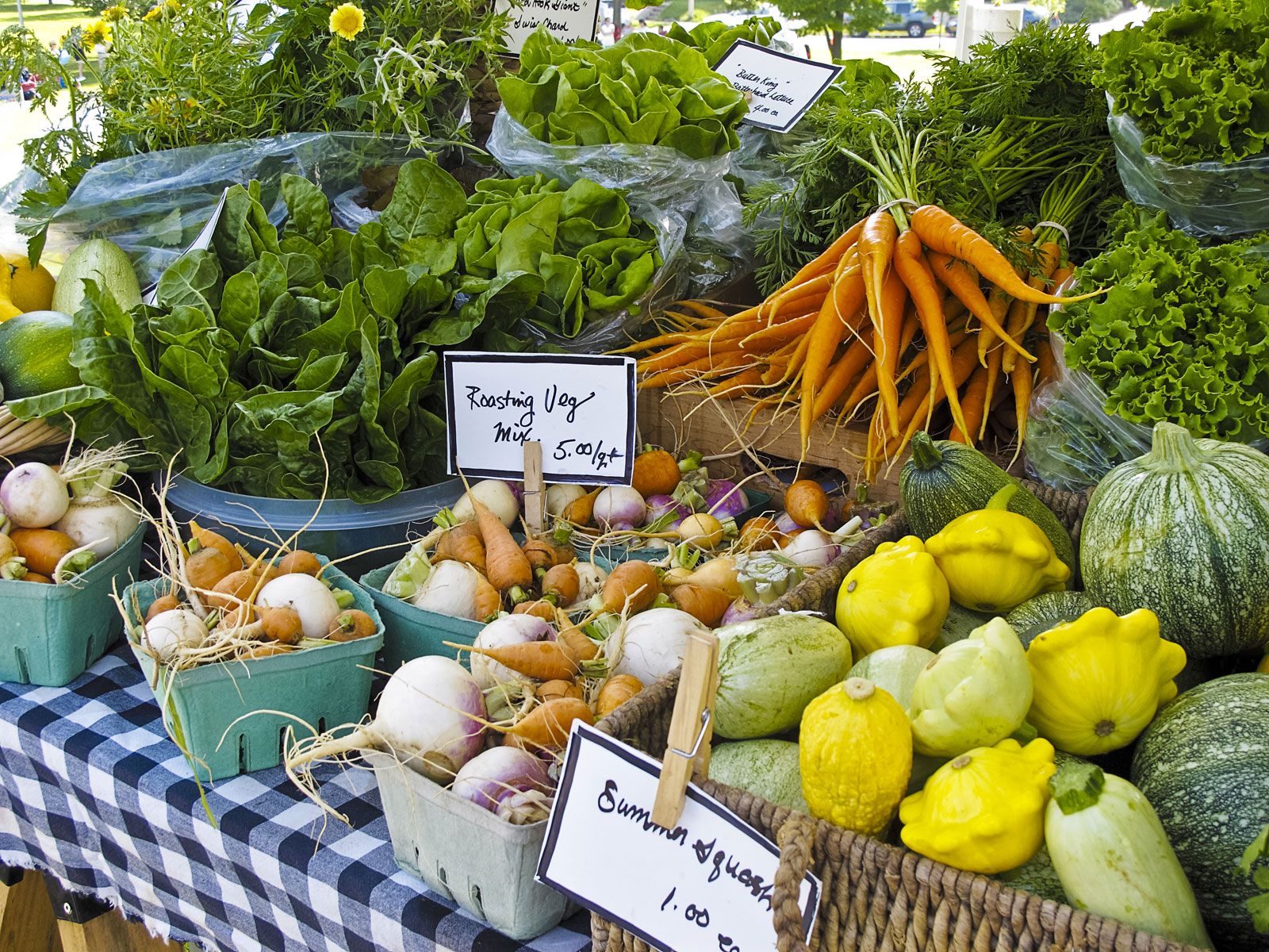 landscape of diverse healthy foods and organic ingredients