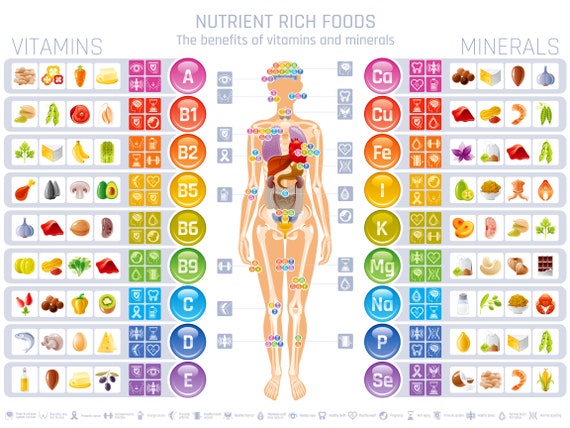 scenic vitamins supplements table view