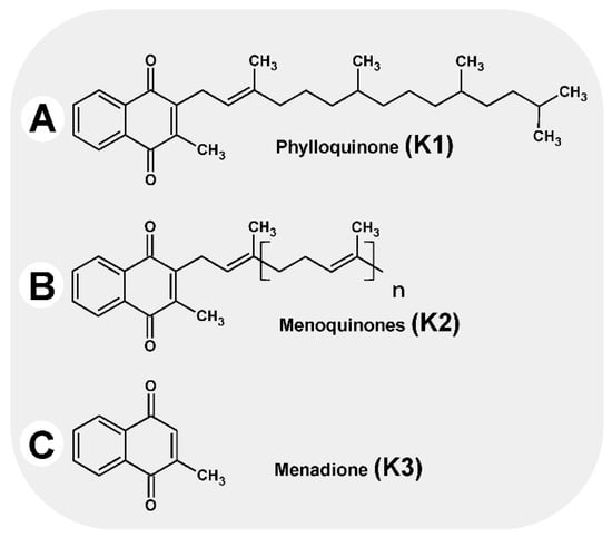 physical vitamin k enzymes medical laboratory