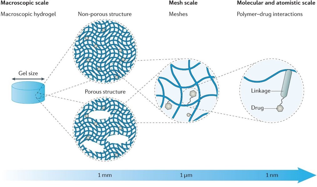 vorming-structuur-toepassingen-hydrogelen-7o7cpqzt