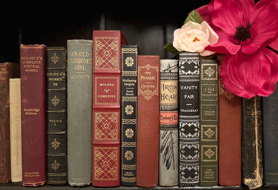 literary books on a wooden table