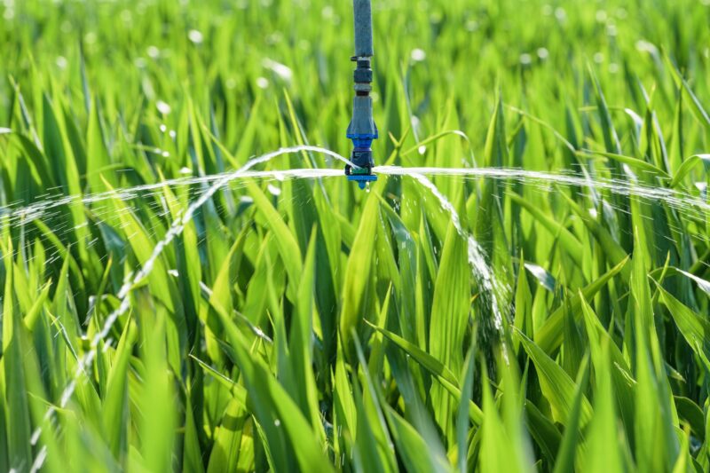 senegal farm landscape modern irrigation
