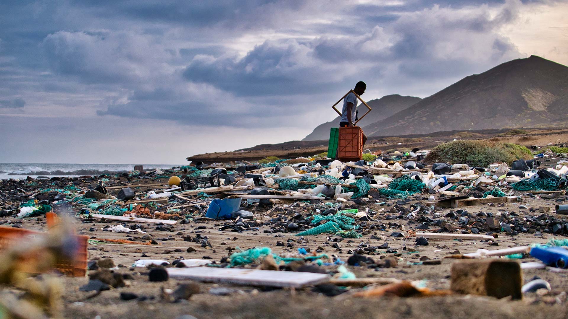 coastal scenery, waste management facilities, organized recycling centers