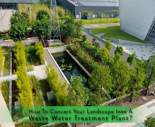 water treatment plant landscape