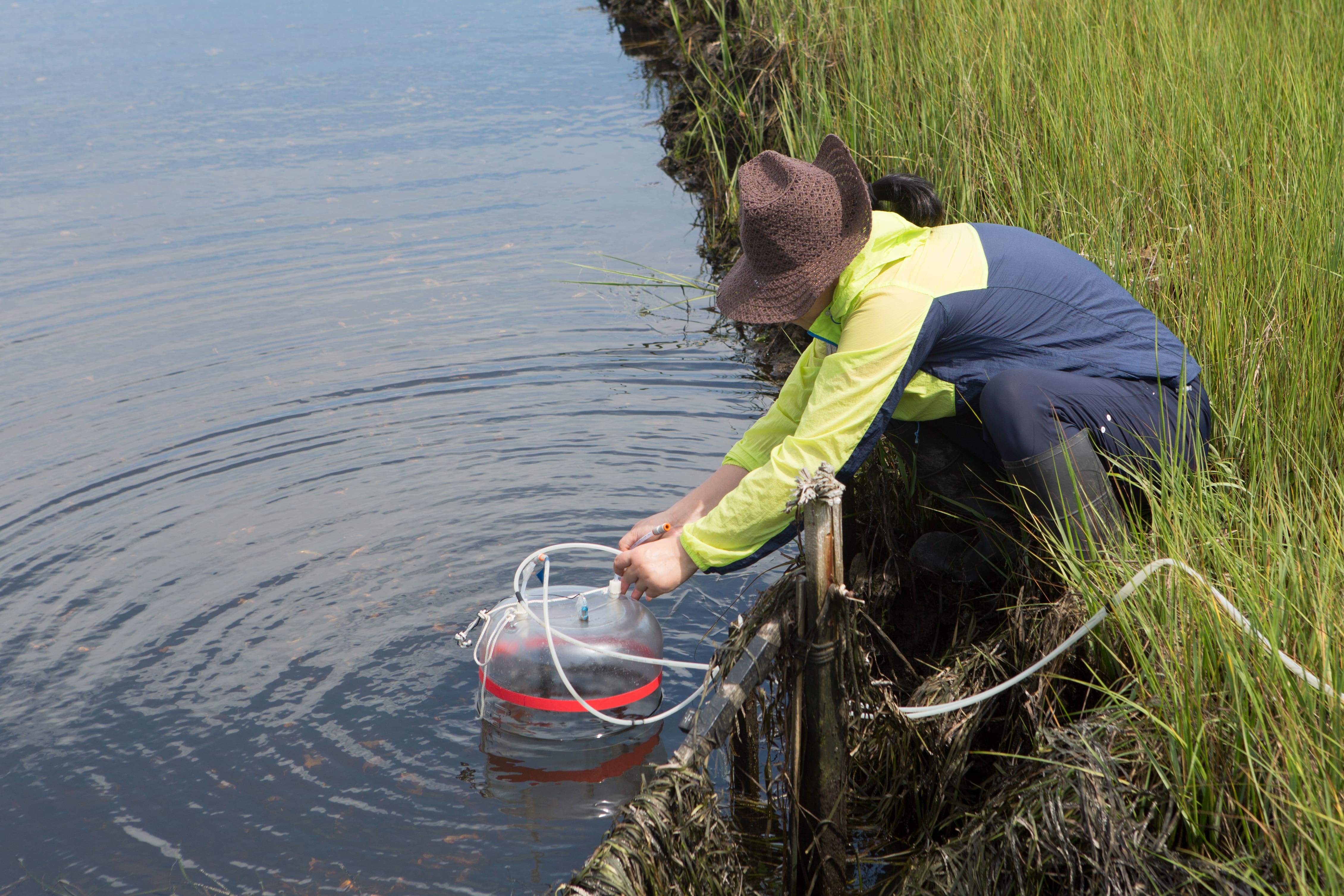 water quality monitoring
