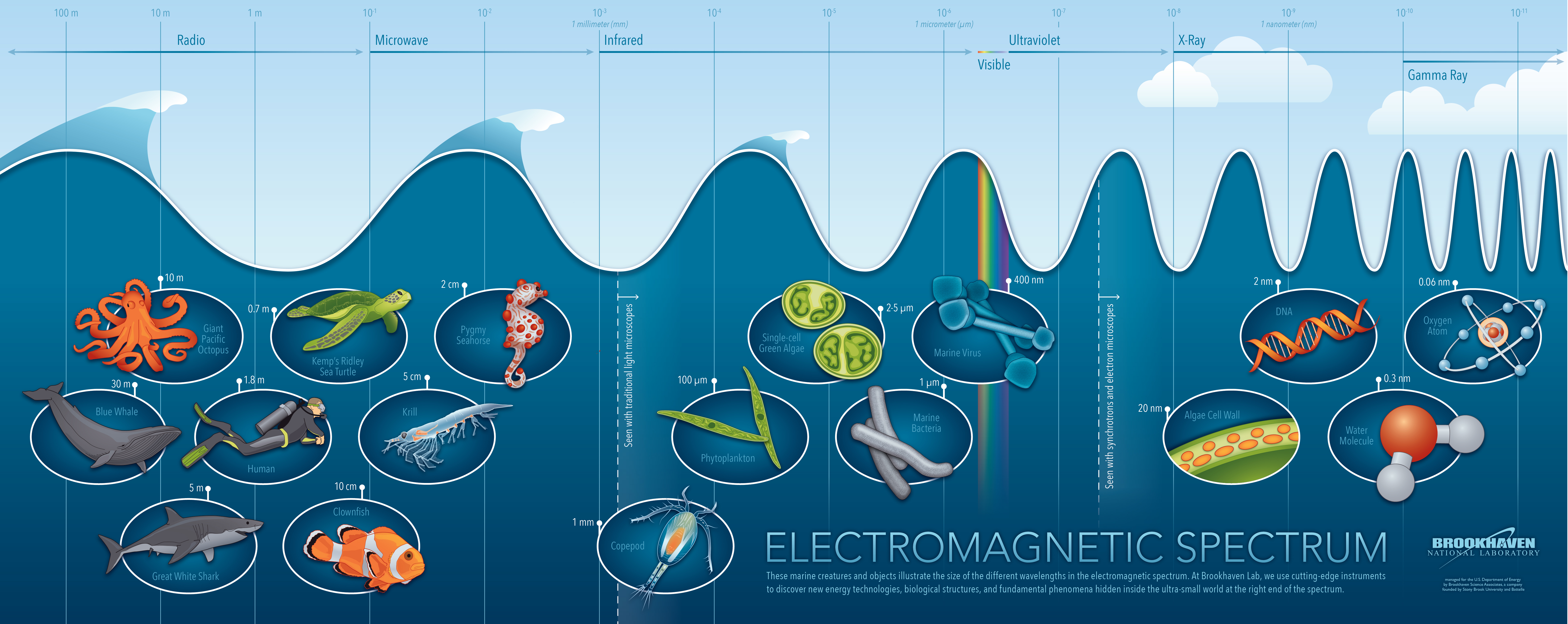 ocean waves, light spectrum, physics lab experiment