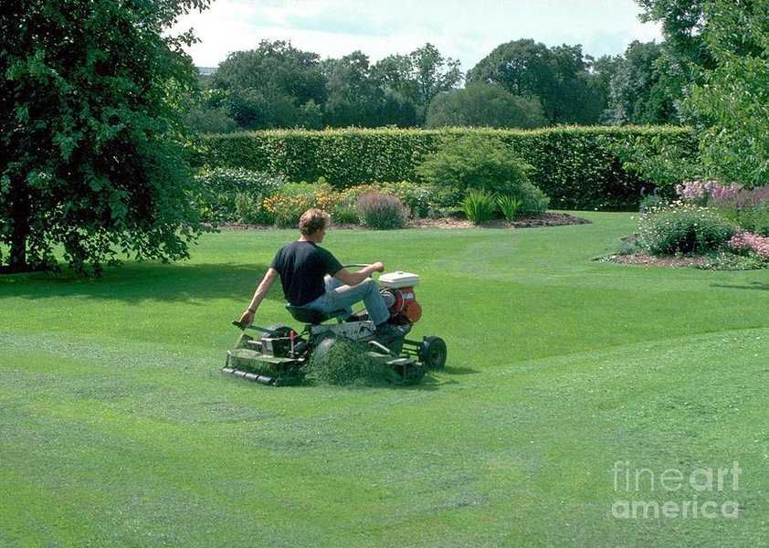 Person mowing a lawn with a rotary mower