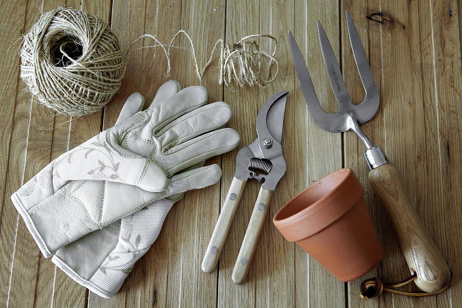 Assortment of clean gardening tools including a trowel, fork, and pruners