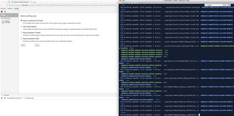 webpack build process version management