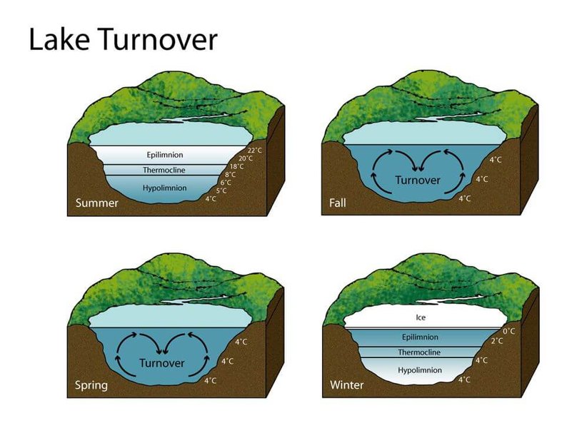 what-causes-lake-turnover-7j0byzu0