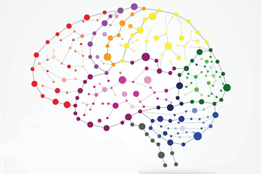 Visualization of brain connectivity pathways