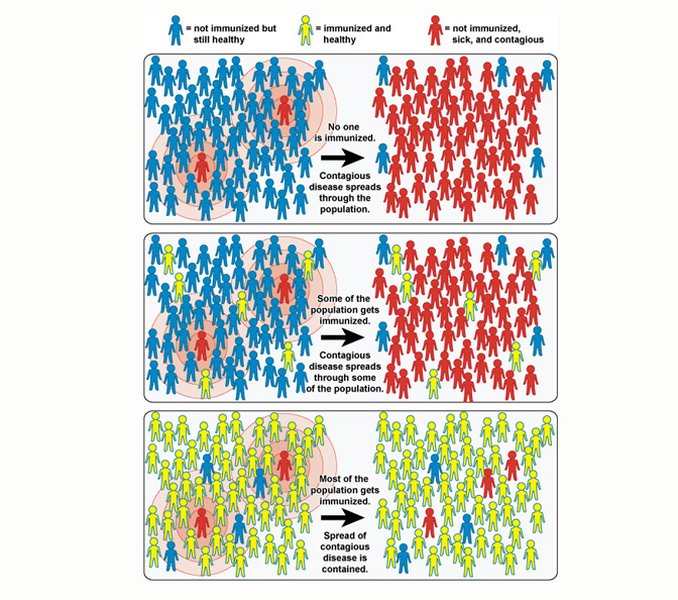 Diagram illustrating how vaccination prevents disease spread in a population