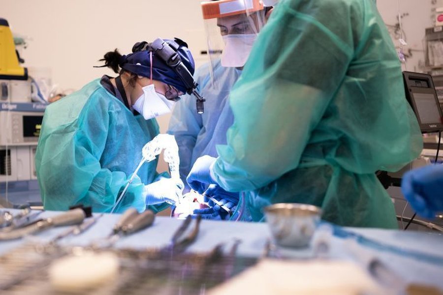 when-dental-surgery-is-best-8o5cfdix