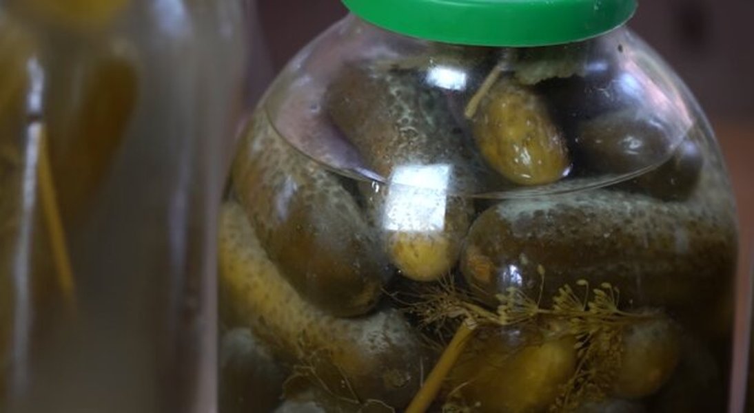 white-coating-pickled-cucumbers-e2iz5v53