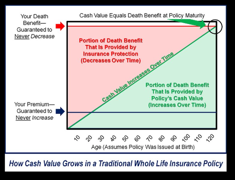 Graph depicting the growth of cash value and death benefit over time in a whole life insurance policy.